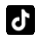 TikTok Icon